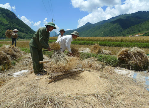 Thiết kế sân vườn, thiết kế sân vườn biệt thự, thiết kế sân vườn đẹp, sân vườn biệt thự, sân vườn sinh thái, biệt thự sinh thái, thiết kế sân vườn tiểu cảnh, thiết kế sân vườn cảnh quan, thiết kế hồ Koi, thiết kế hồ cá Koi, thiết kế hồ cá chép Nhật, thiết kế hồ cá chép rồng, thiết kế vườn treo, thiết kế vườn trên mái, thiết kế vườn nước, thiết kế vườn Nhật, thiết kế vườn khô, thi công sân vườn, thi công sân vườn biệt thự, thi công sân vườn đẹp, thi công sân vườn tiểu cảnh, thiết kế cảnh quan, thiet ke canh quan, thi công sân vườn cảnh quan, thiết kế tiểu cảnh, giếng trời, thiet ke tieu canh, gieng troi,  thi công tiểu cảnh, giếng trời,  thi công cảnh quan, thi công hồ Koi, thi công hồ cá Koi, thi công hồ cá chép Nhật, thi công vườn treo, thi công vườn trên mái, thi công vườn Nhật